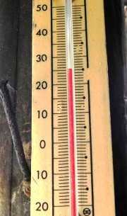 f0213825_08224005.jpg