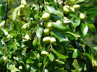 f0213825_10450430.jpg