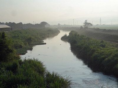 b0037926_21500258.jpg