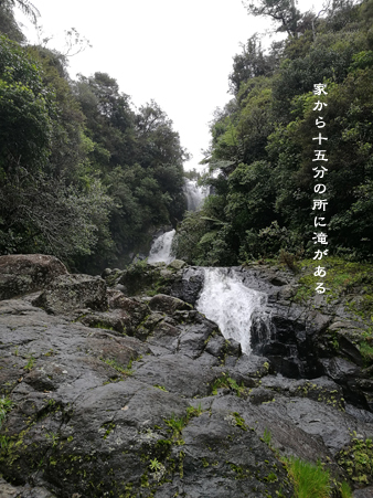 d0042827_17281382.jpg