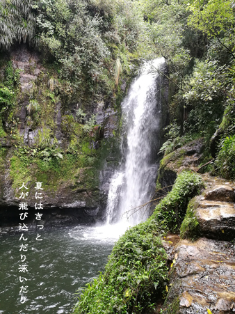 d0042827_17283252.jpg