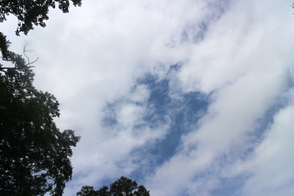 d0359935_07520567.jpg