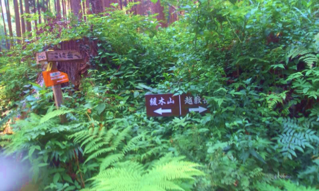 e0272335_1623023.jpg