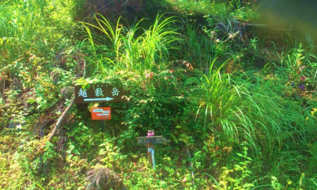 e0272335_17422230.jpg