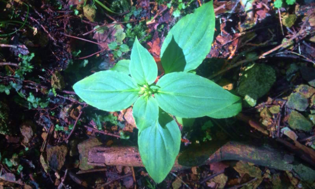 e0272335_17503889.jpg