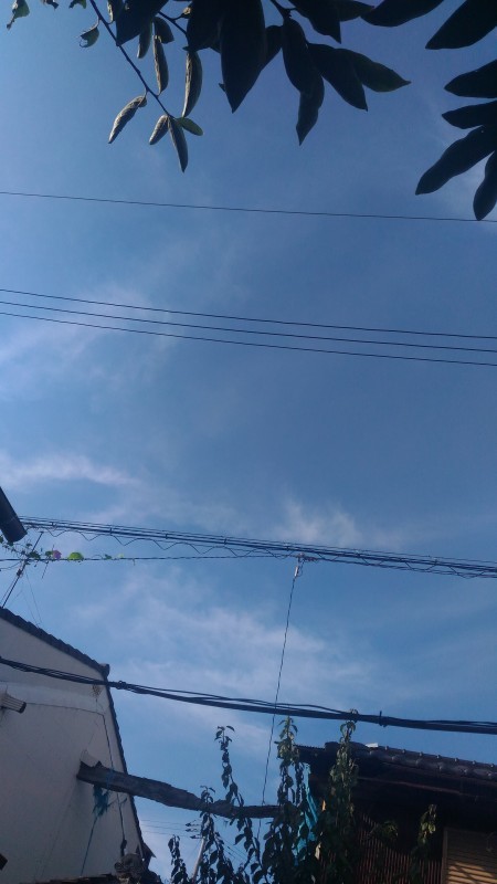 d0343540_07331296.jpg