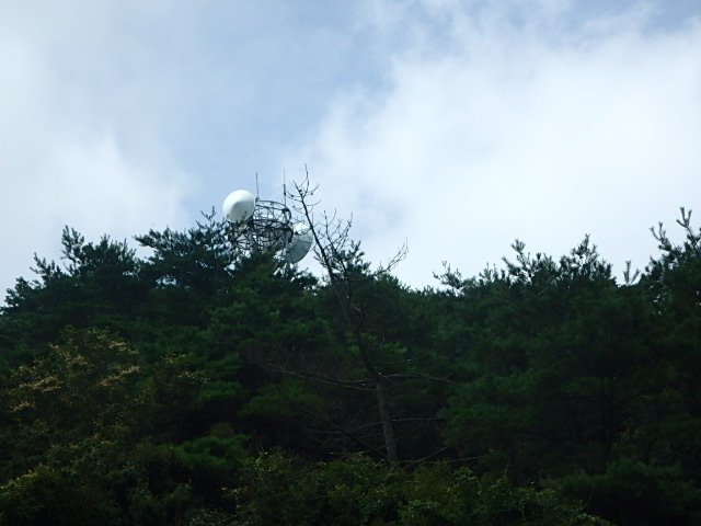 f0334143_19595017.jpg