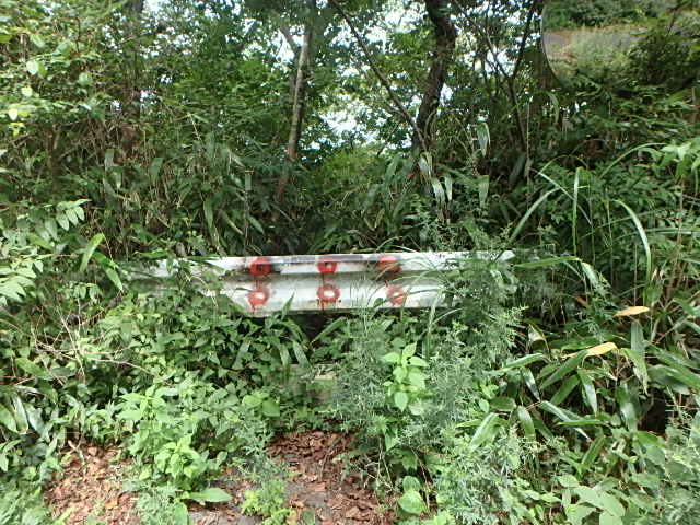 f0334143_2001437.jpg