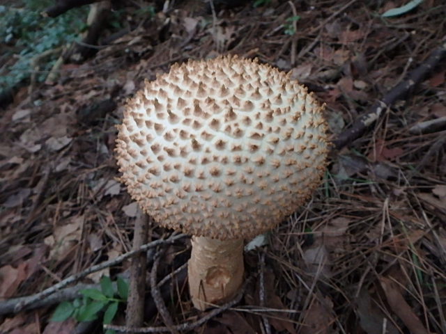 f0334143_200476.jpg