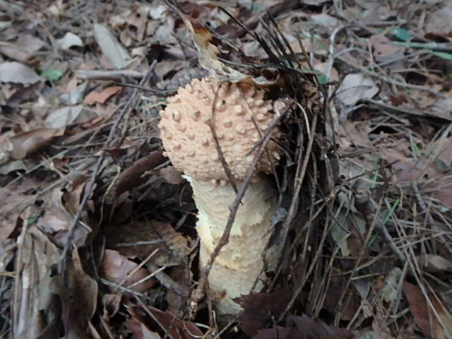 f0334143_2013052.jpg