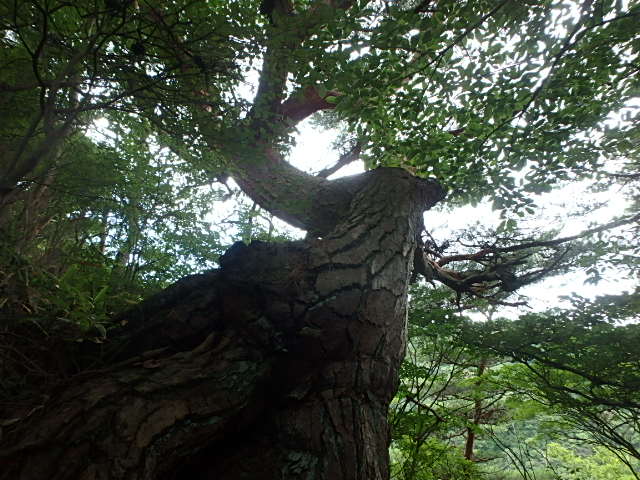 f0334143_2014267.jpg