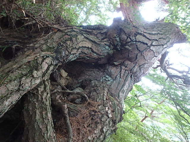 f0334143_2015065.jpg