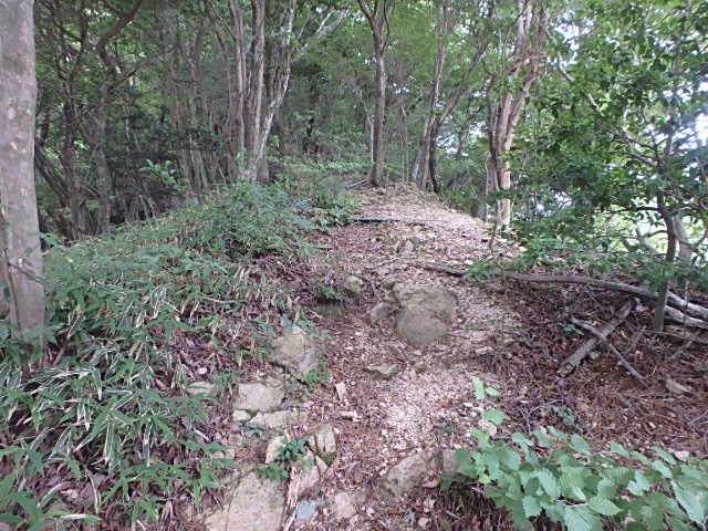 f0334143_2034944.jpg