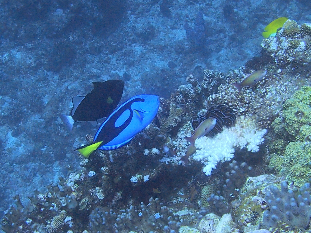 e0245045_22260248.jpg