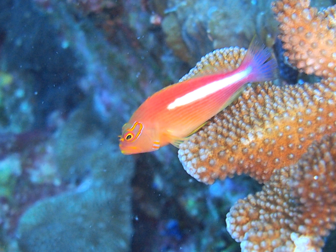 e0245045_22304242.jpg