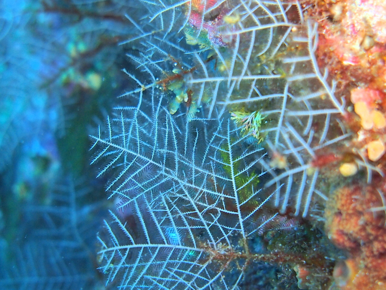e0245045_22310894.jpg