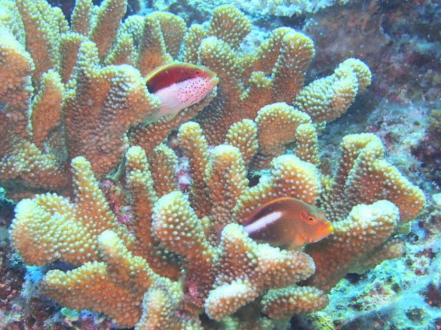 e0245045_22322580.jpg