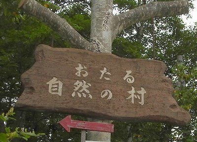 b0176650_17375163.jpg
