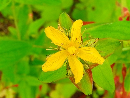 b0176650_1742068.jpg