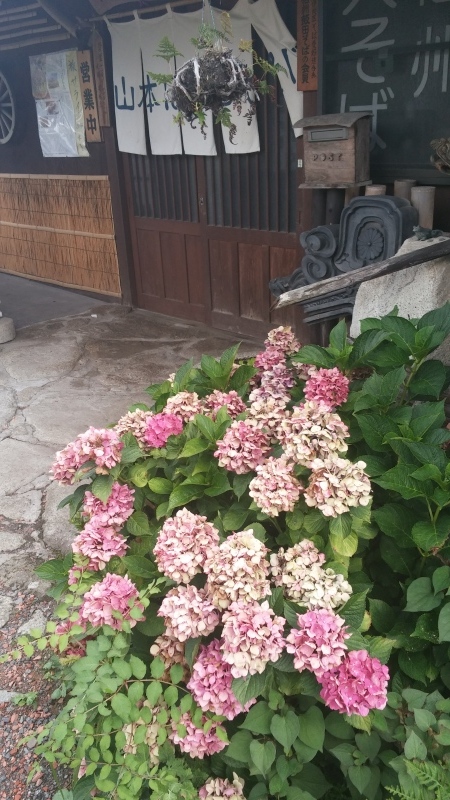 b0370055_10463789.jpg