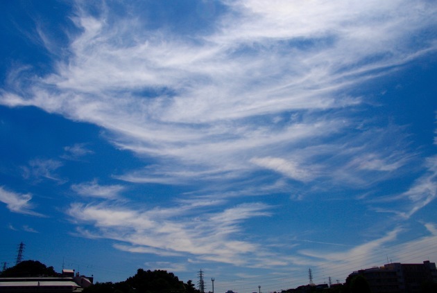 a0248459_15460168.jpg