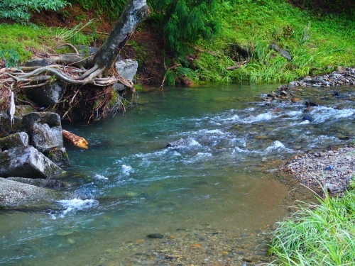 f0327061_11371929.jpg