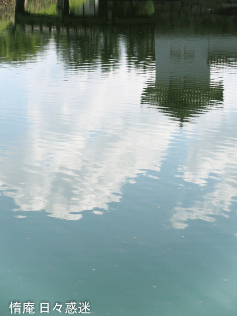 e0346064_16084514.gif