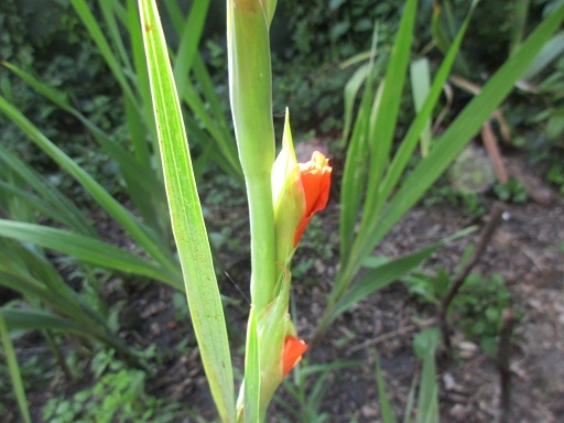 f0361764_04532695.jpg