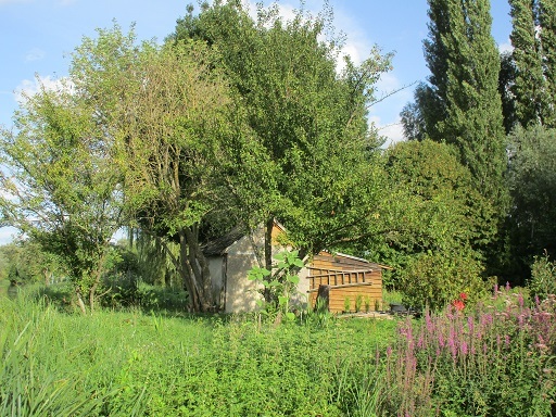 f0361764_04583216.jpg