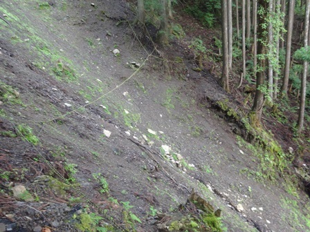c0303868_05034627.jpg