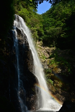 c0303868_05080537.jpg