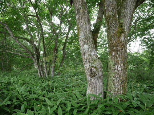 b0068572_02443378.jpg