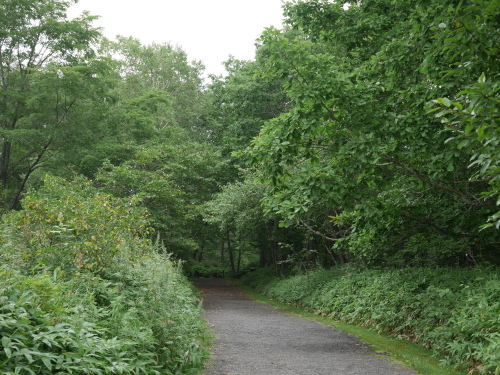 b0068572_02445274.jpg
