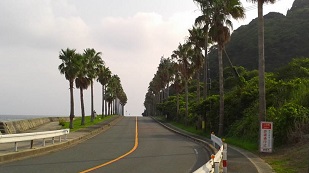 f0287177_2258052.jpg