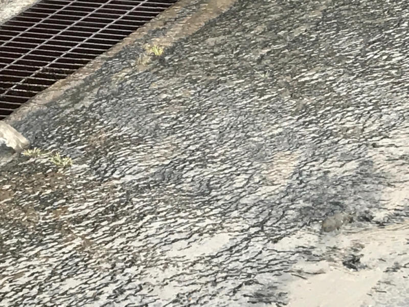 b0174284_11455274.jpg