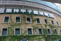 f0017185_863835.jpg
