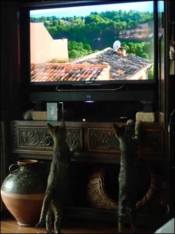 c0228386_20170317.jpg