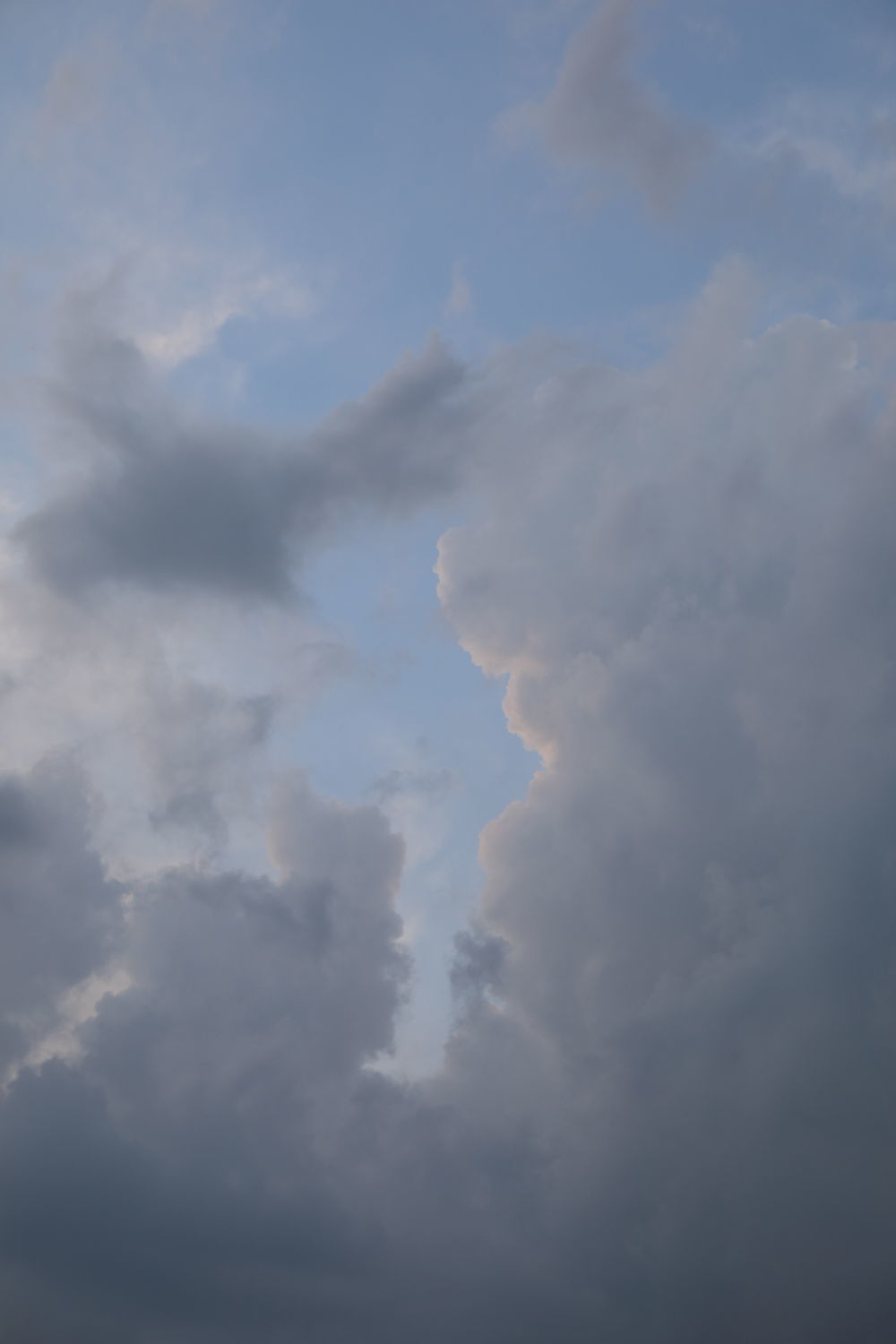 b0275998_11514485.jpg