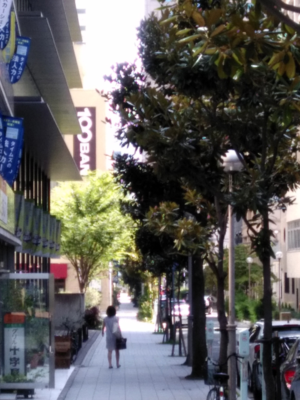 e0083517_00372822.jpg