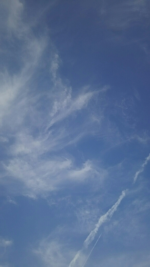 f0191517_09144196.jpg