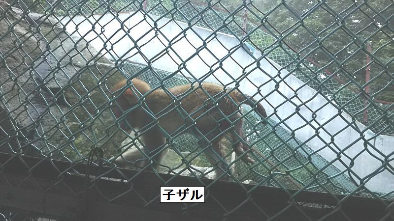e0047322_21274713.jpg