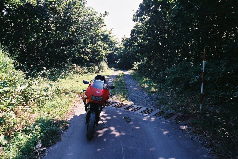 f0362725_15084069.jpg