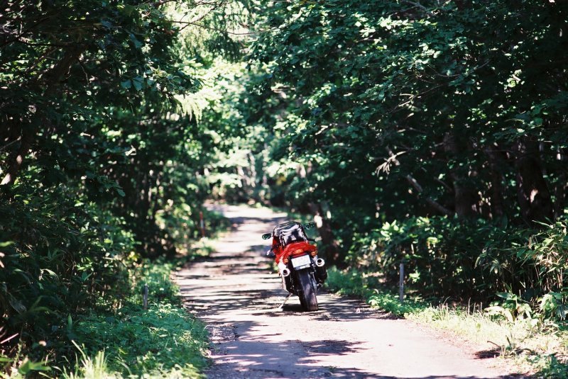 f0362725_15084908.jpg