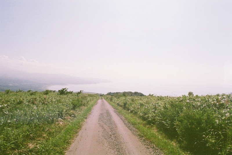 f0362725_15091257.jpg