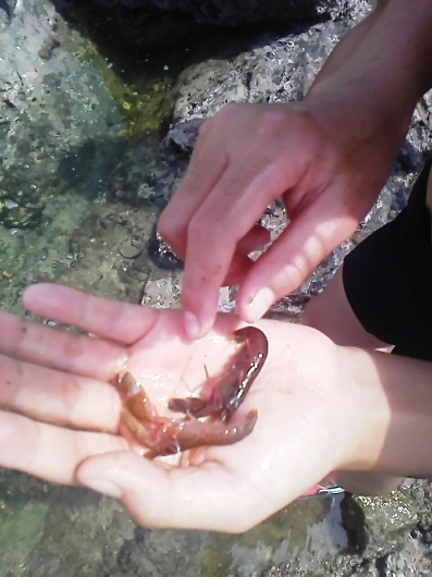 c0280730_16413167.jpg