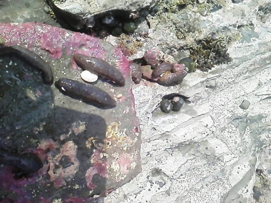 c0280730_16413332.jpg