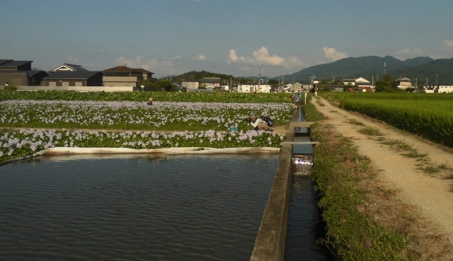 f0145031_09061073.jpg