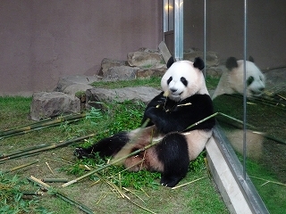 a0157637_10023998.jpg