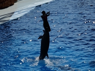 a0157637_10030400.jpg