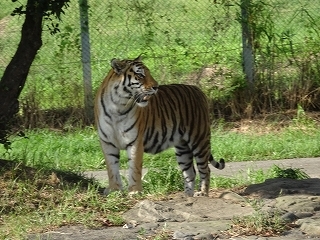 a0157637_10033547.jpg